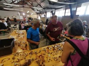 FETE_DES_CHAMPIGNONS_2023 (18)