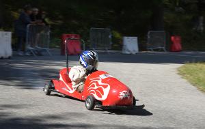 CARRIOLES2025(77)
