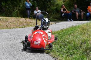 CARRIOLES2025(26)
