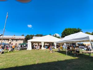 vide-grenier2025(137)