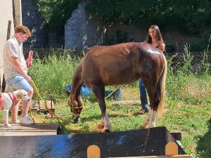 FETE-BIEN-ETRE-2025(25)