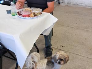 FETE-BIEN-ETRE-2025(33)